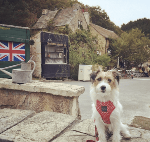 不思議!隱身古城京都的英倫小鎮英國村 Dreamton Village10.png