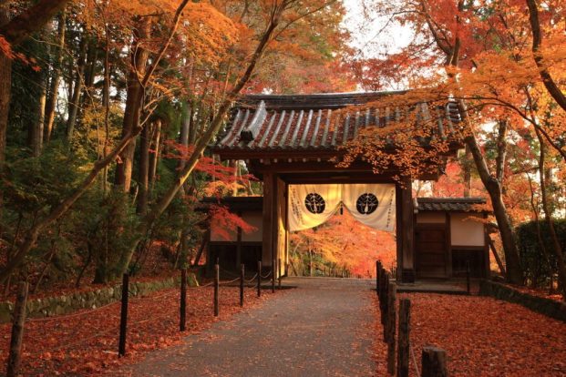 光明寺こうみょうじ KOMYOJI TEMPLE_9.jpg
