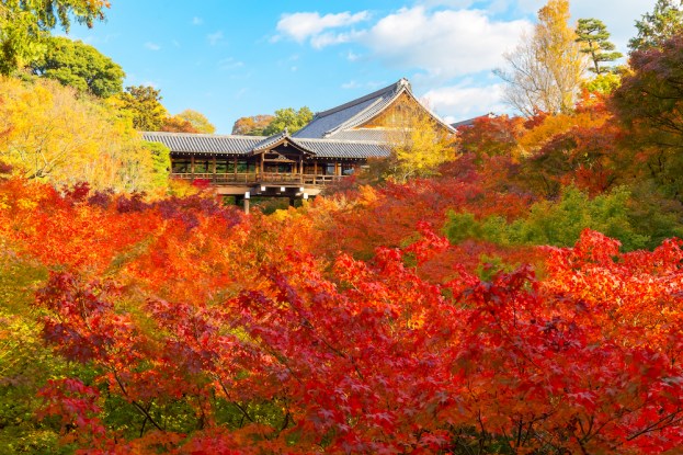 東福寺とうふくじ TOFUKUJI TEMPLE_6.jpg