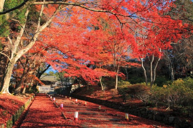 毘沙門堂びしゃもんどうBISHAMONDO TEMPLE_3.jpg