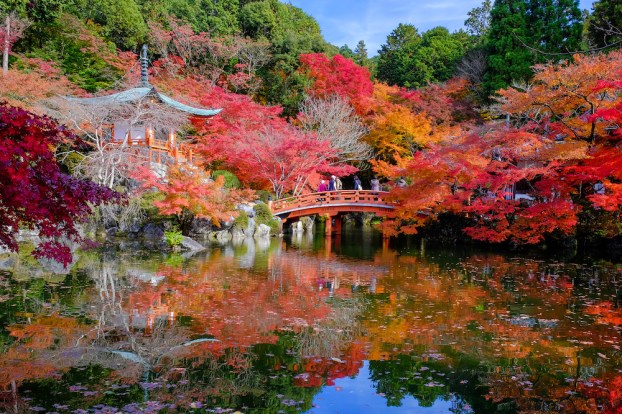 醍醐寺だいごじ DAIGOJI TEMPLE_8.jpg
