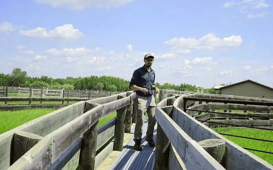 麋鹿島國家公園 Elk Island National Park_2.png