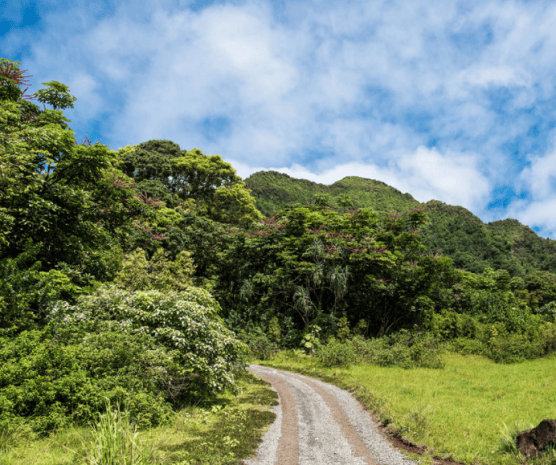 【HELLO！Hawaii】2017年夏威夷歐胡島Oahu自由行行程規劃與攻略古蘭尼牧場Kualoa Ranch11.png