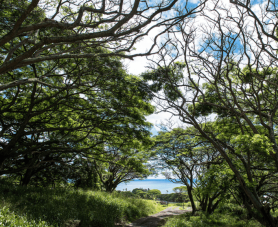 【HELLO！Hawaii】2017年夏威夷歐胡島Oahu自由行行程規劃與攻略古蘭尼牧場Kualoa Ranch13.png
