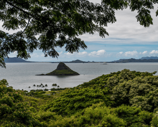 【HELLO！Hawaii】2017年夏威夷歐胡島Oahu自由行行程規劃與攻略古蘭尼牧場Kualoa Ranch5.png