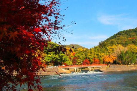 宇治川_最完整!京都深度賞楓自由行行程規劃攻略(行程表&住宿&美食&甜點&伴手禮).jpg