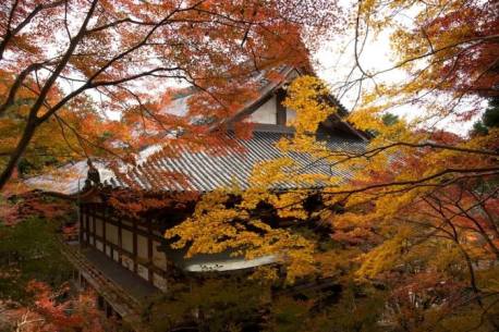 山城高雄西明寺_最完整!京都深度賞楓自由行行程規劃攻略(行程表&住宿&美食&甜點&伴手禮).jpg