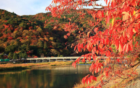 嵐山渡月橋_最完整!京都深度賞楓自由行行程規劃攻略(行程表&住宿&美食&甜點&伴手禮).png