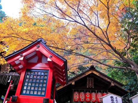嵐山野宮神社_最完整!京都深度賞楓自由行行程規劃攻略(行程表&住宿&美食&甜點&伴手禮).jpg