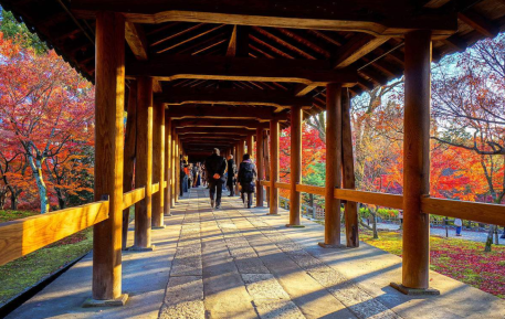東福寺_最完整!京都深度賞楓自由行行程規劃攻略(行程表&住宿&美食&甜點&伴手禮).png
